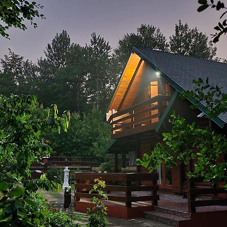 Villa Vikendica Crkvina Kolašin Exterior foto