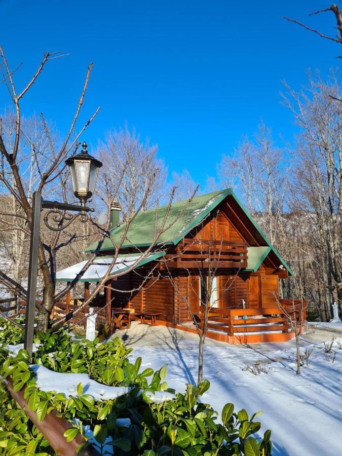 Villa Vikendica Crkvina Kolašin Exterior foto