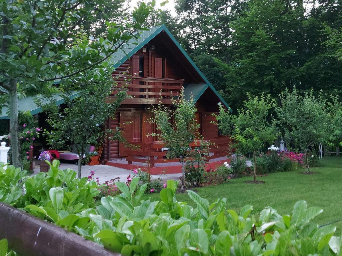 Villa Vikendica Crkvina Kolašin Exterior foto