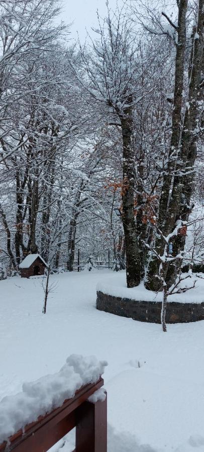 Villa Vikendica Crkvina Kolašin Exterior foto
