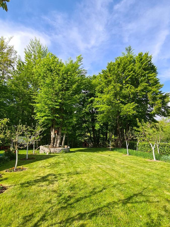 Villa Vikendica Crkvina Kolašin Exterior foto
