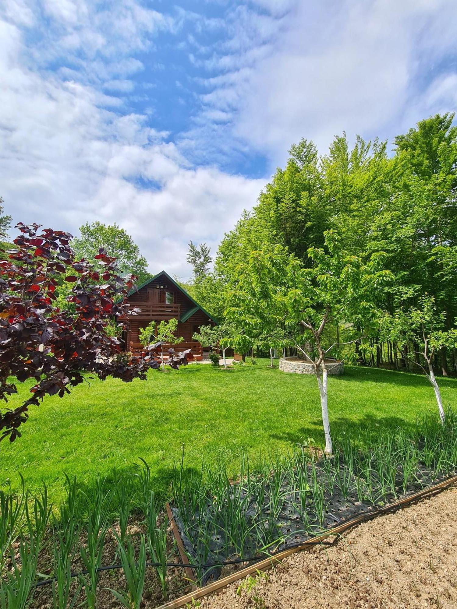 Villa Vikendica Crkvina Kolašin Exterior foto