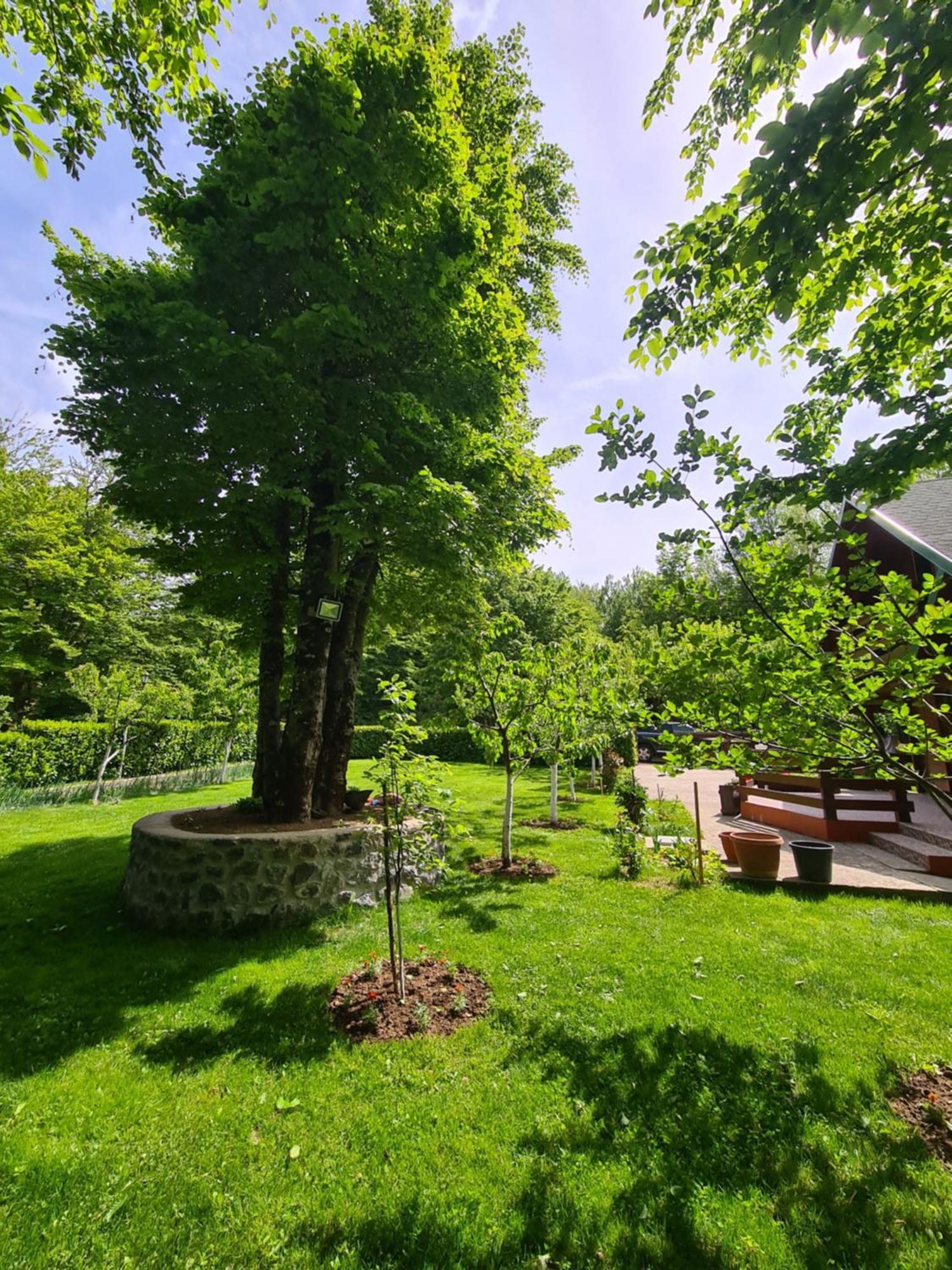 Villa Vikendica Crkvina Kolašin Exterior foto